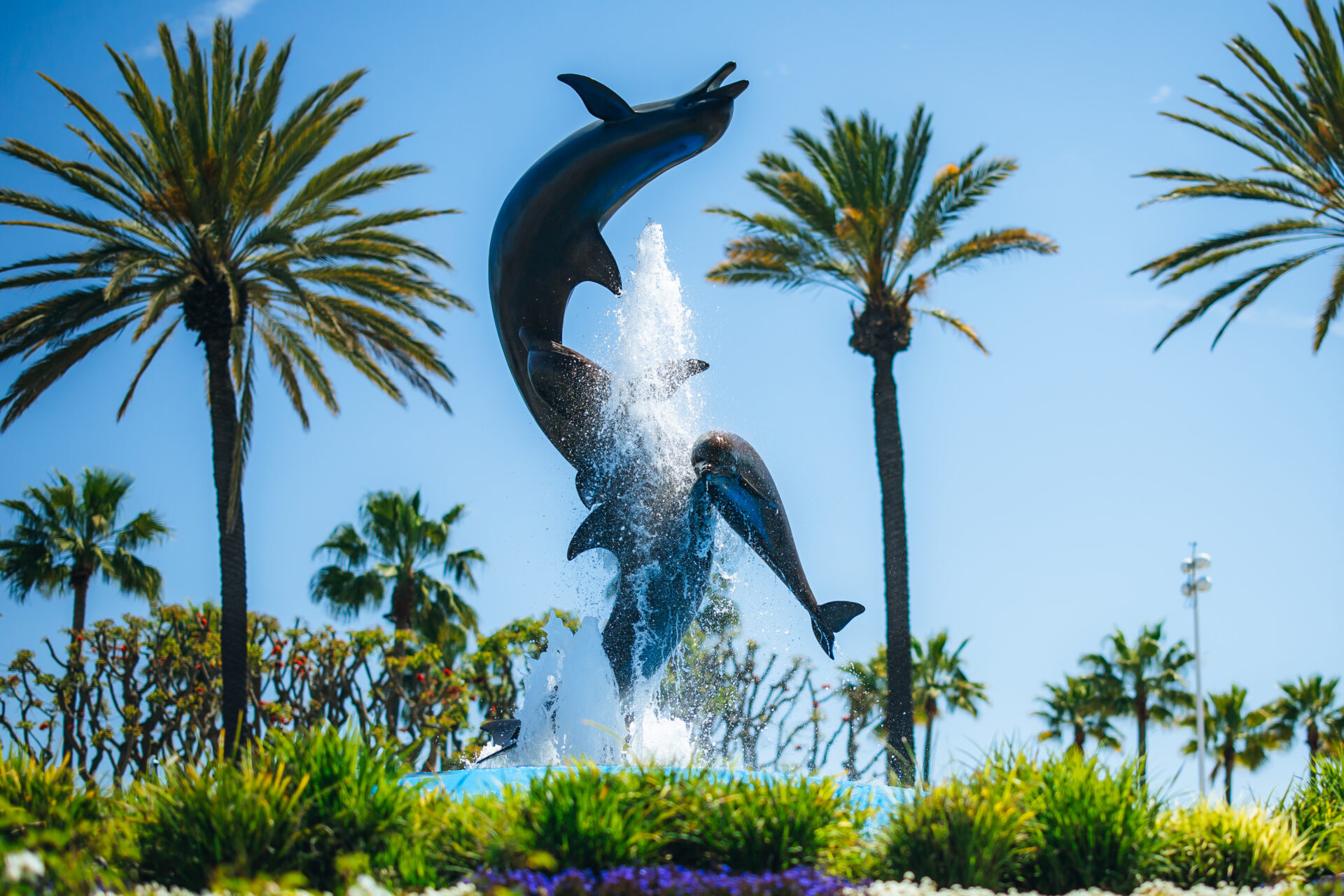 LBGP_JS04102025-9159